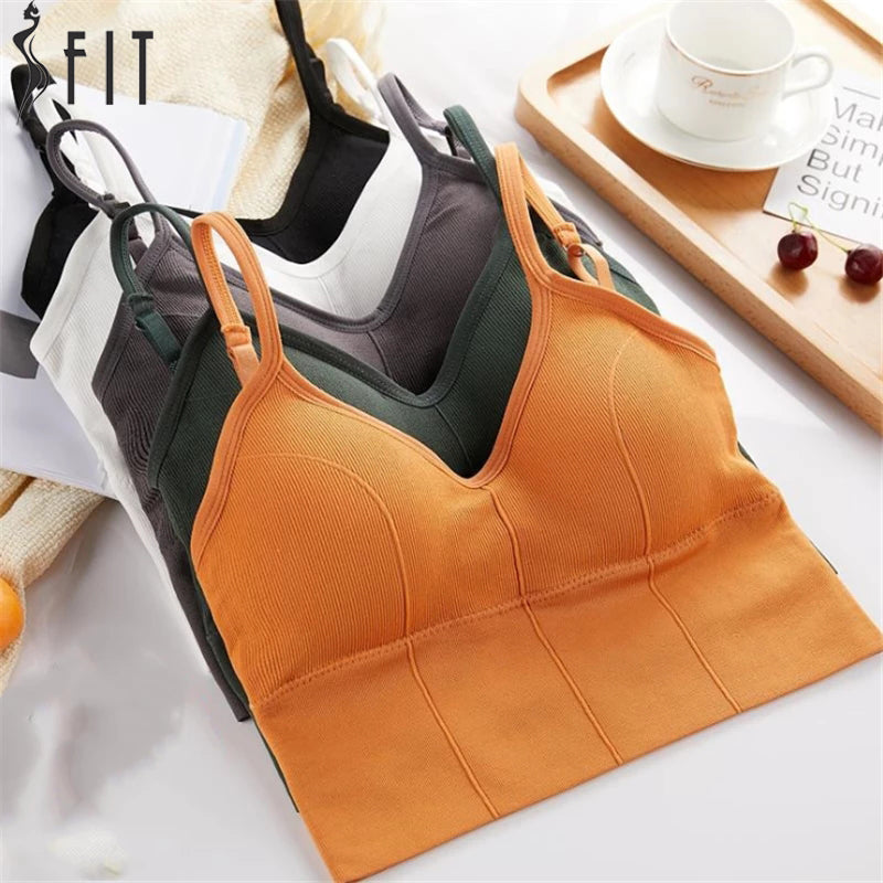 Fit Sports Bra